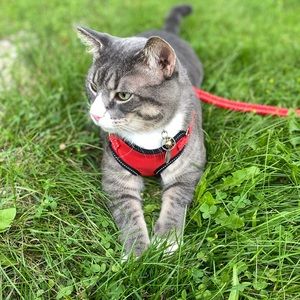 Meet your Posher, Mark